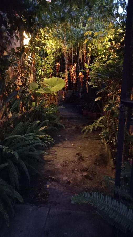 אנטיגואה גואטמלה Casa Quetzalli, La Recoleccion מראה חיצוני תמונה